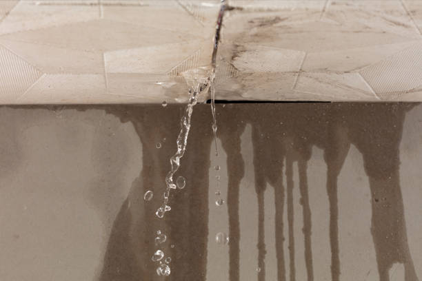 Professional Water Damage Repair technician working in Posey, CA